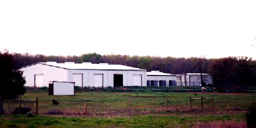 Cross Timbers Arabians and Pintos Ranch